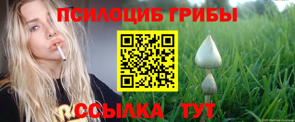 Галлюциногенные грибы Magic Shrooms Жуковский